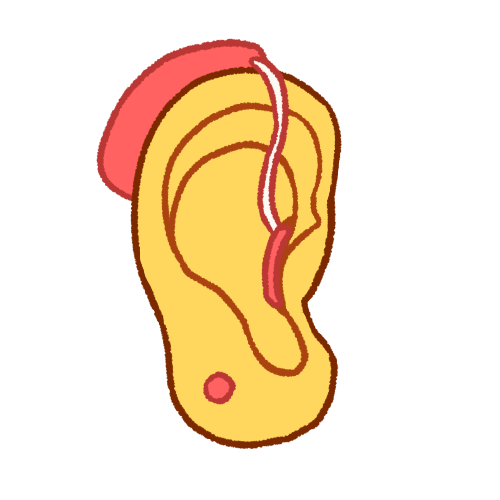 a right ear. it has a longer earlobe, round pink earring and pink behind-the-ear hearing aid. 